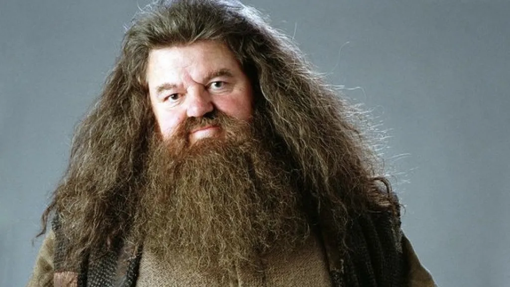 Robbie Coltrane: Hagrid